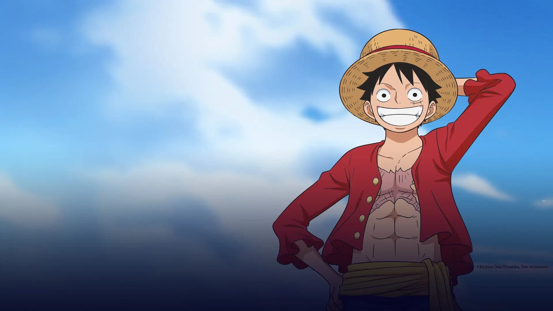 Collection One Piece